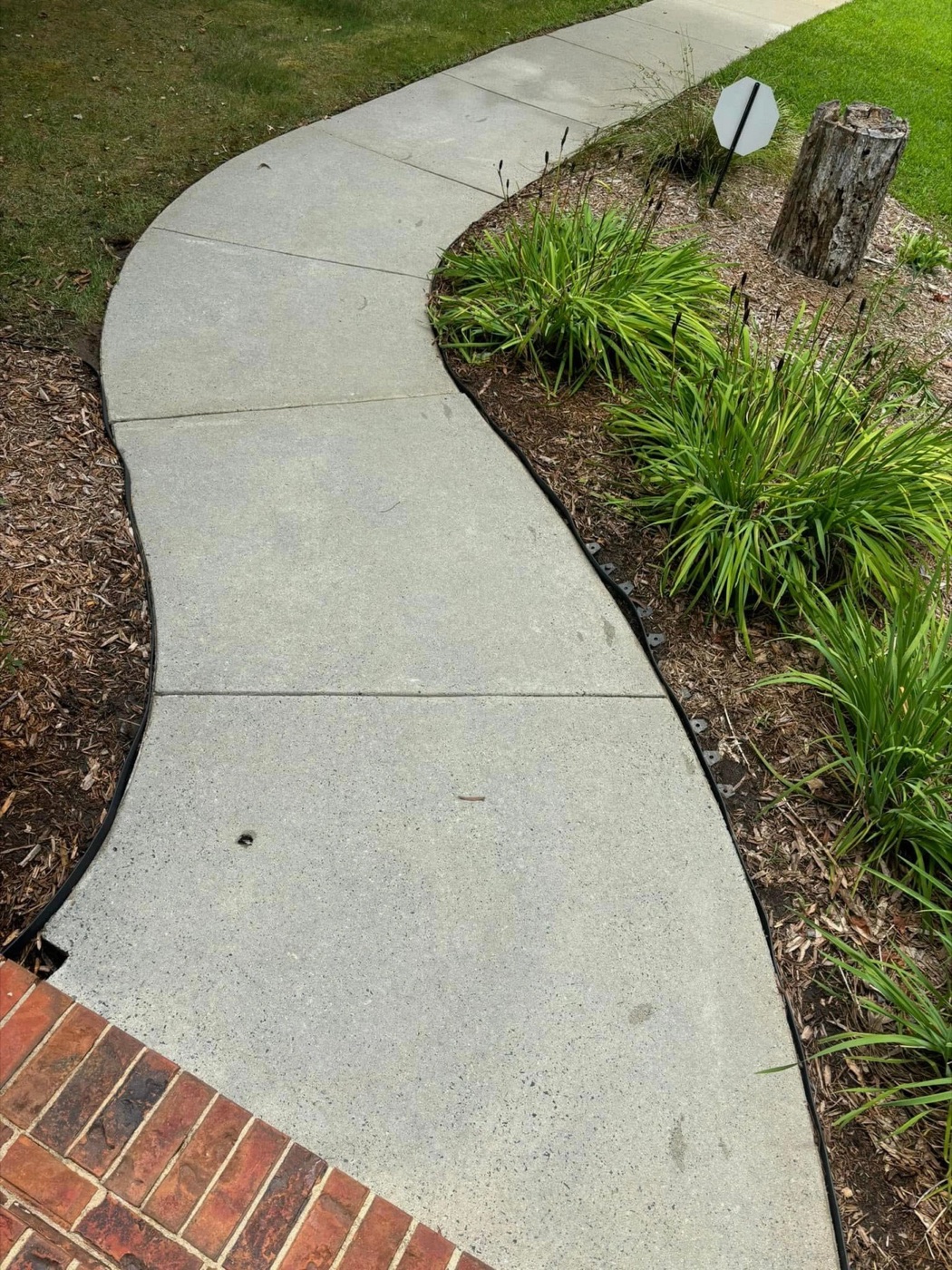 Concrete walkway after surface cleaning
