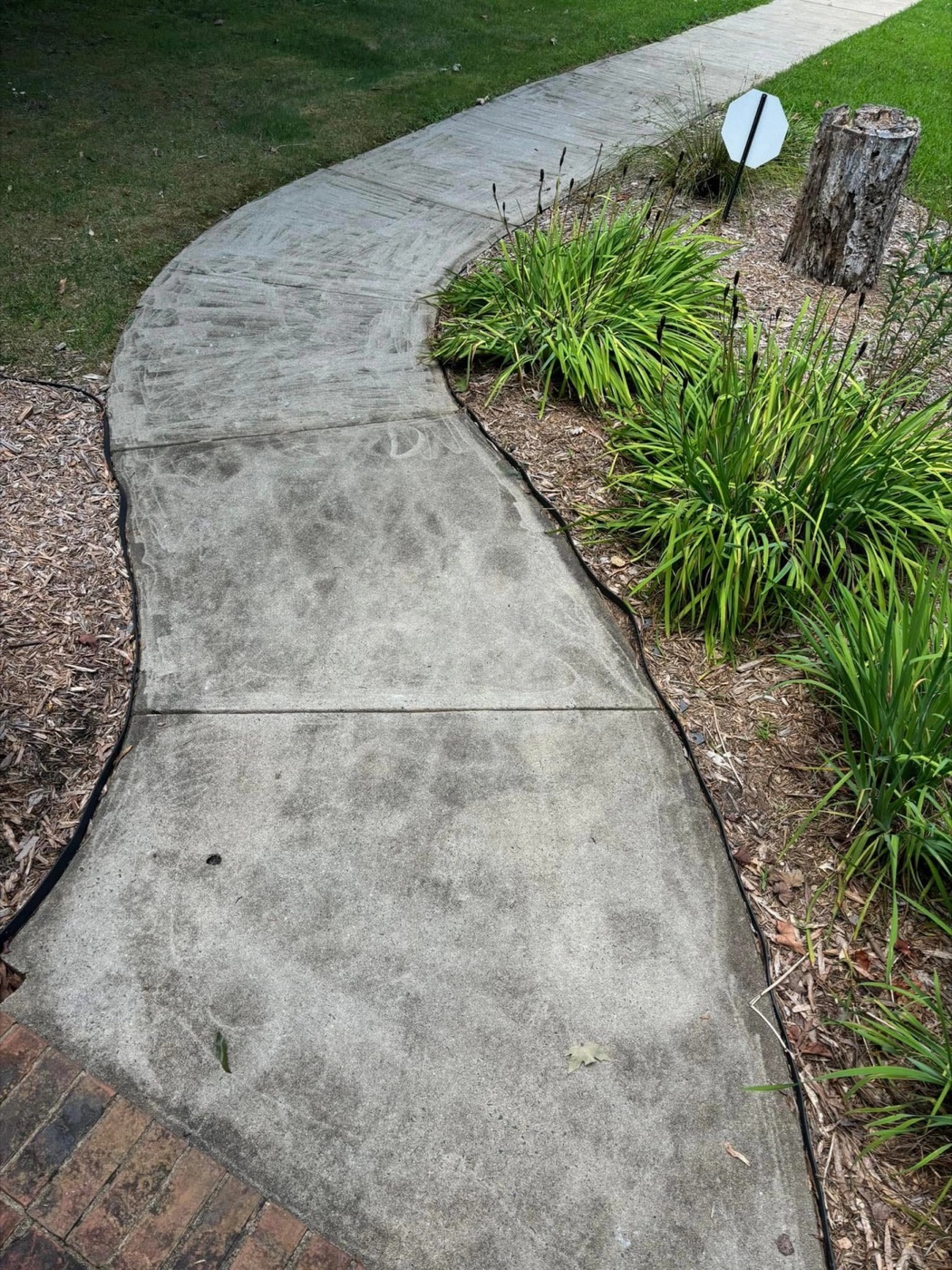 Stained concrete walkway before cleaning