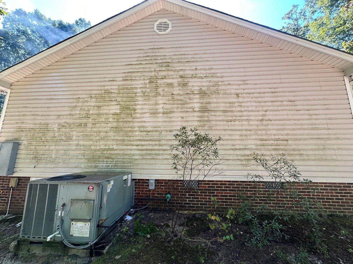 Mildewed siding before cleaning