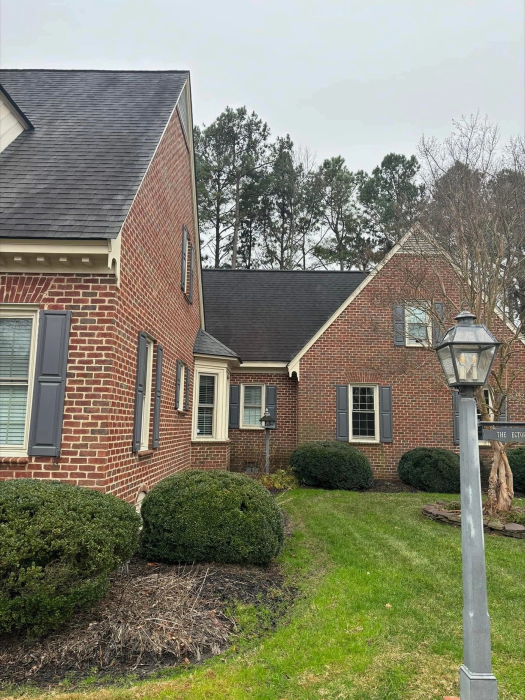 Roof with black streaks before treatment